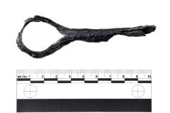 Shackle Loop Fragment