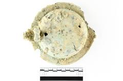 Tankard Lid
