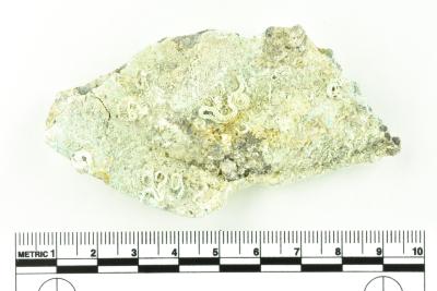 Tankard Lid Fragment
