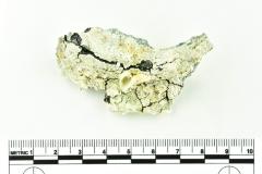 Tankard Lid Fragment
