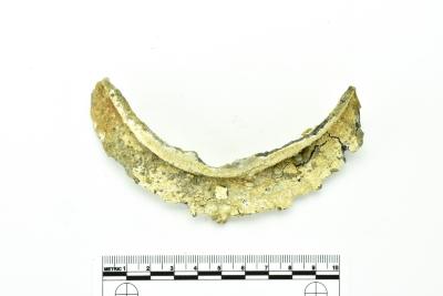 Tankard Lid Fragment