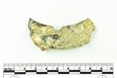 Tankard Lid Fragment
