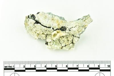 Tankard Lid Fragment