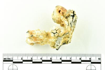 Tankard Lid Fragment