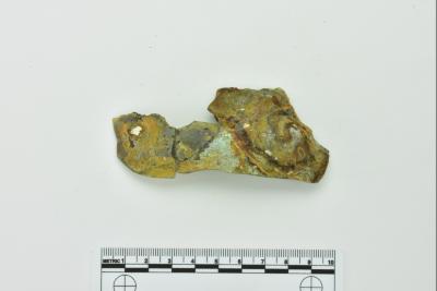 Onion Bottle Fragments