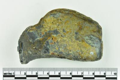 Onion Bottle Fragments