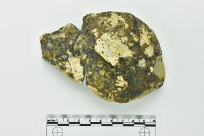 Onion Bottle Fragments