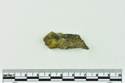 Onion Bottle Fragment