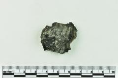 Onion Bottle Fragments