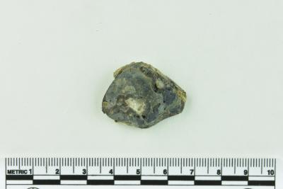 Onion Bottle Fragments