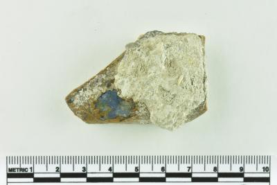 Onion Bottle Fragments