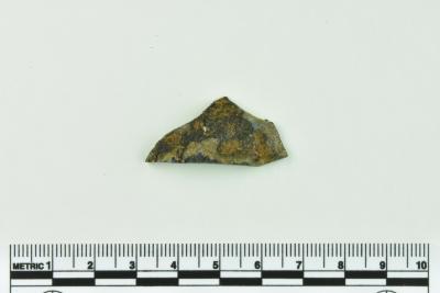 Onion Bottle Fragment