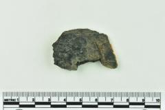 Onion Bottle Fragments