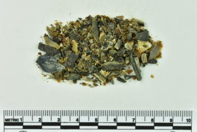 Onion Bottle Fragments
