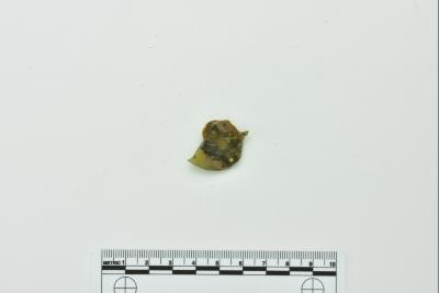 Onion Bottle Fragments