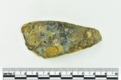 Onion Bottle Fragment