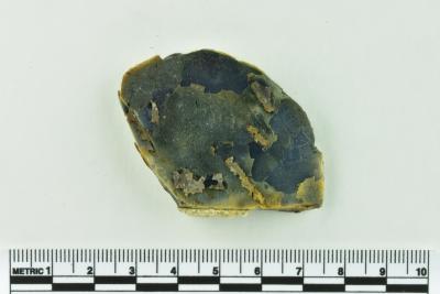 Onion Bottle Fragments