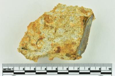 Onion Bottle Fragments
