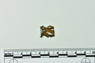Leather Fragment