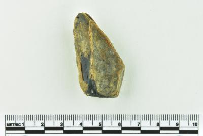 Onion Bottle Fragments
