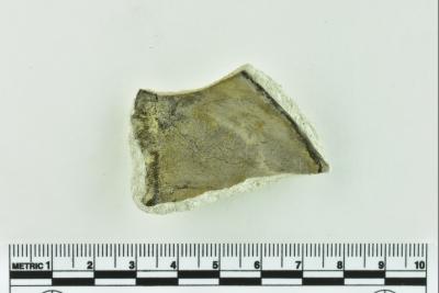 Onion Bottle Fragments