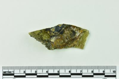 Onion Bottle Fragment