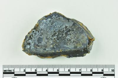 Onion Bottle Fragment