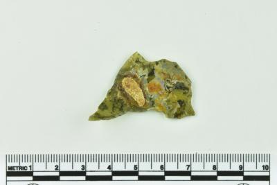 Onion Bottle Fragment
