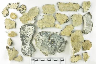 Pewter Bottle Fragments
