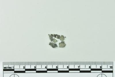 Leather Fragment