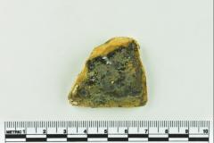 Onion Bottle Fragments