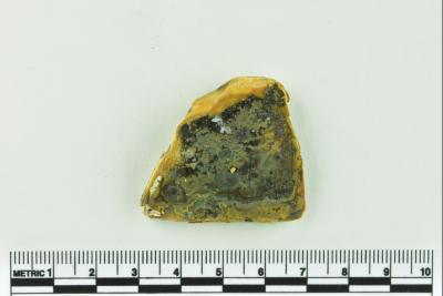 Onion Bottle Fragments