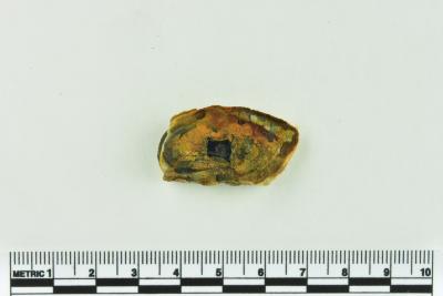 Onion Bottle Fragments