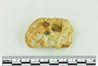 Onion Bottle Fragments