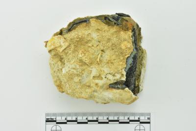 Case Bottle Base