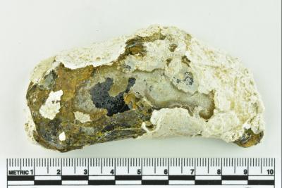 Onion Bottle Fragments