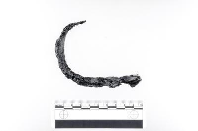 Shackle Loop