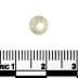 Trade Bead