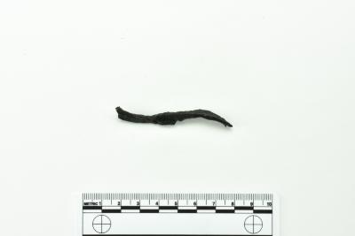 Nail