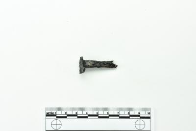 Nail