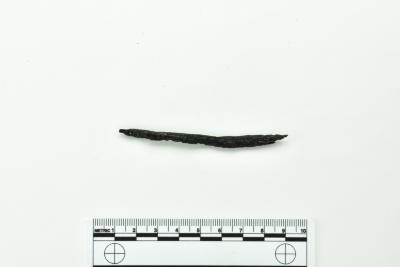 Nail