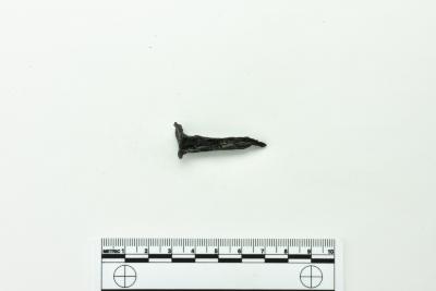 Nail