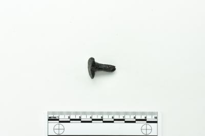 Nail