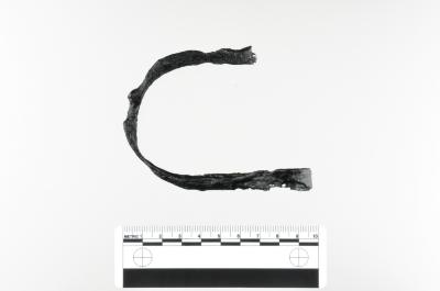 Shackle Loop