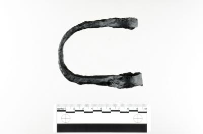 Shackle Loop