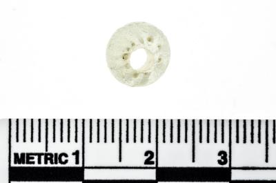 Trade Bead