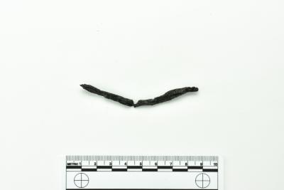 Nail
