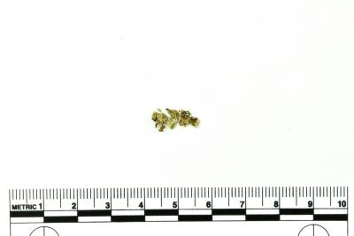 Leather Fragment