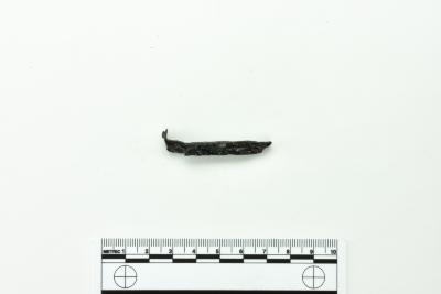 Nail