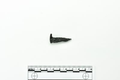 Nail